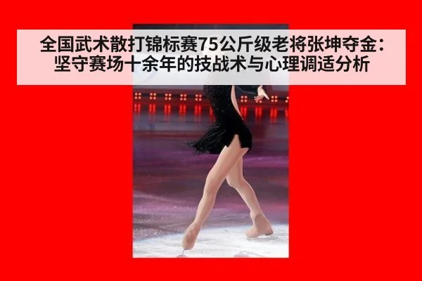 全国武术散打锦标赛75公斤级老将张坤夺金:坚守赛场十余年的技战术与心理调适分析